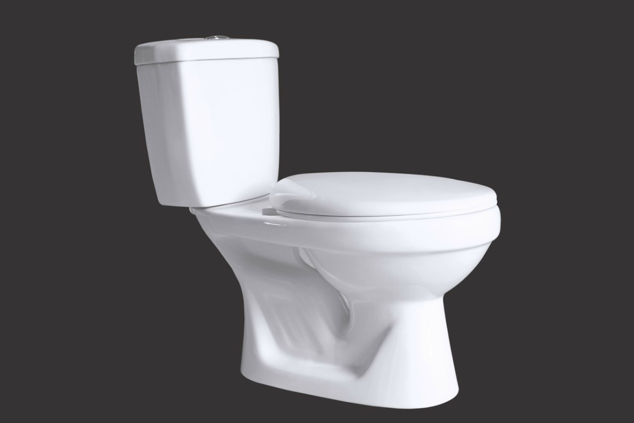 BỒN CẦU KHỐI RỜI ASARO - 2504