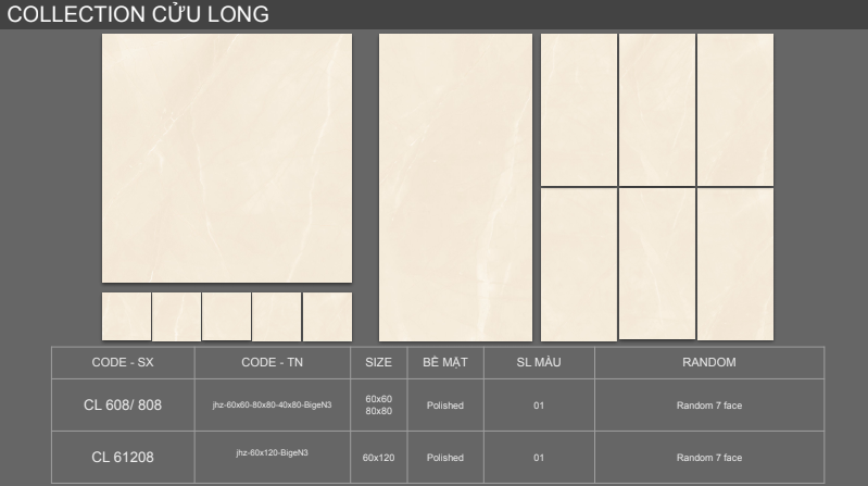 Gạch Viglacera 60x120 CLGP-61208