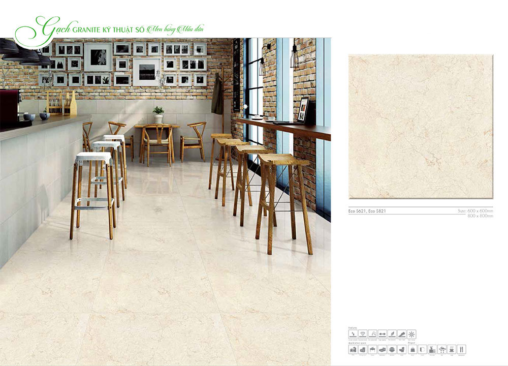 Gạch Viglacera 80x80 ECO S821