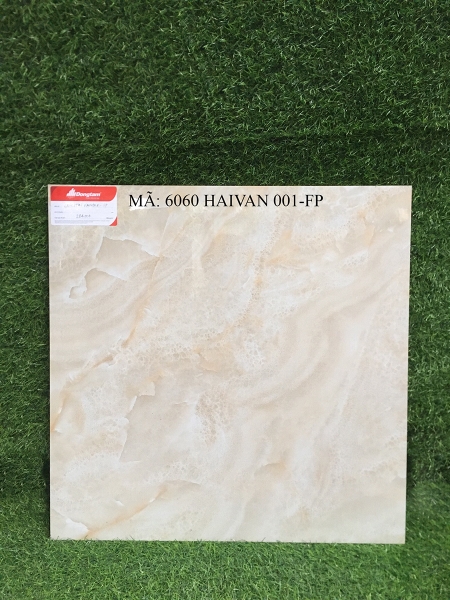 Gạch lát Đồng Tâm 60x60 6060 HAIVAN 001