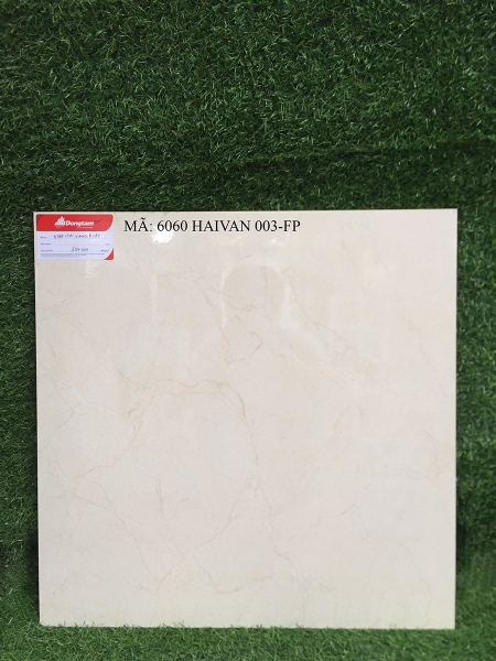 Gạch lát Đồng Tâm 60x60 6060 HAIVAN 003