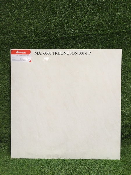Gạch lát Đồng Tâm 60x60 6060 TRUONGSON 001-FP
