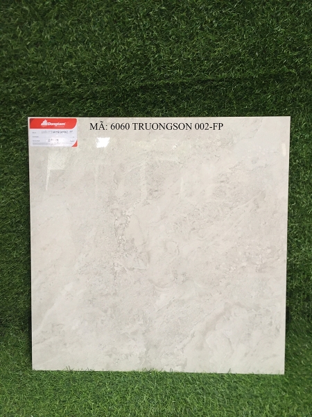 Gạch lát Đồng Tâm 60x60 6060 TRUONGSON 002-FP