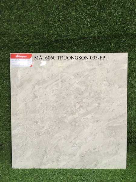 Gạch lát Đồng Tâm 60x60 6060 TRUONGSON 003-FP