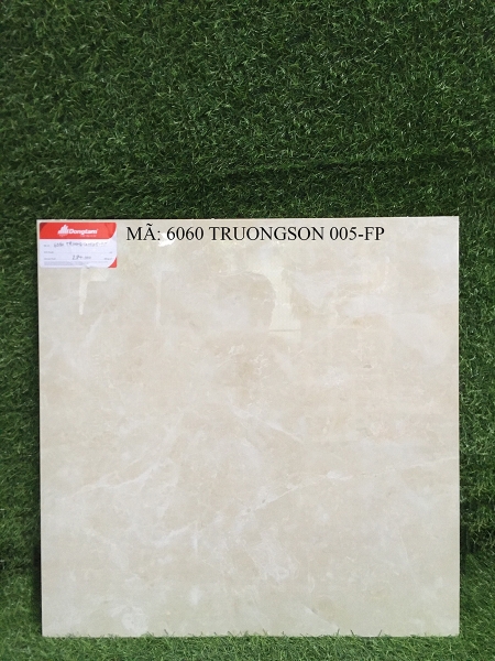 Gạch lát Đồng Tâm 60x60 6060 TRUONGSON 005-FP