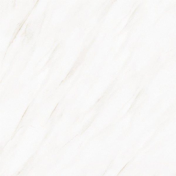 Gạch TTC 600x600 Porcelain PN66003