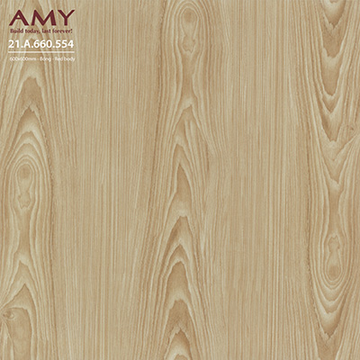 Gạch lát nền 60x60cm Á Mỹ 554