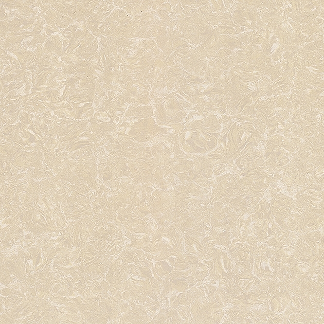 Gạch Viglacera 60x60 TS2 612