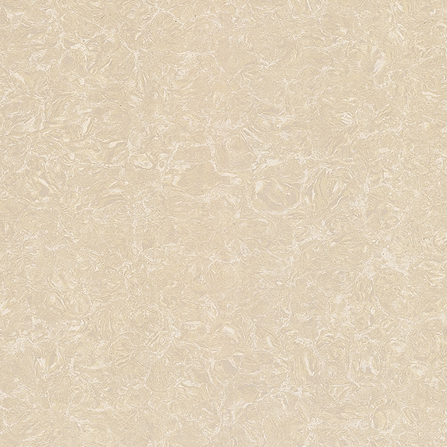 Gạch Viglacera 80x80 TS2 812