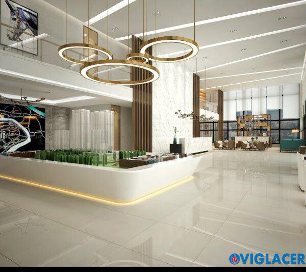 Gạch Viglacera 60x60 TS5 601