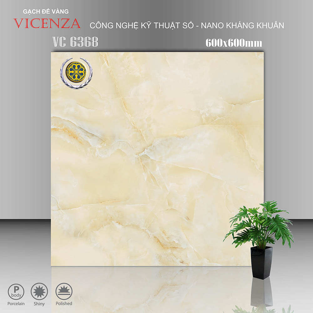 Gạch lát nền Vicenza 6368