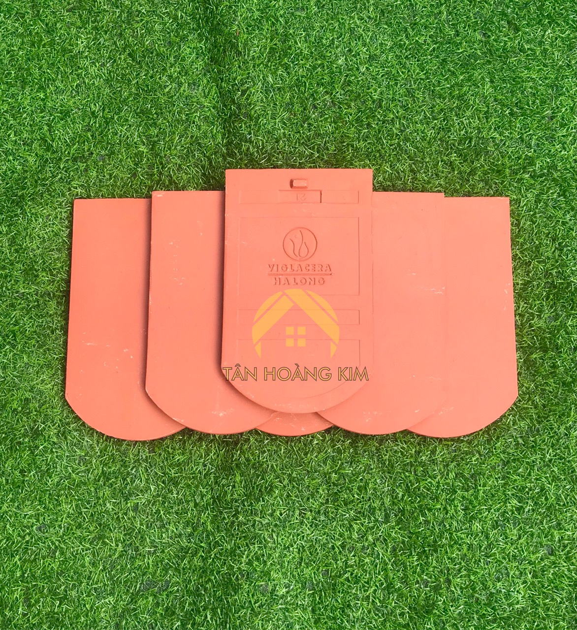 Ngói vảy cá Viglacera Hạ Long