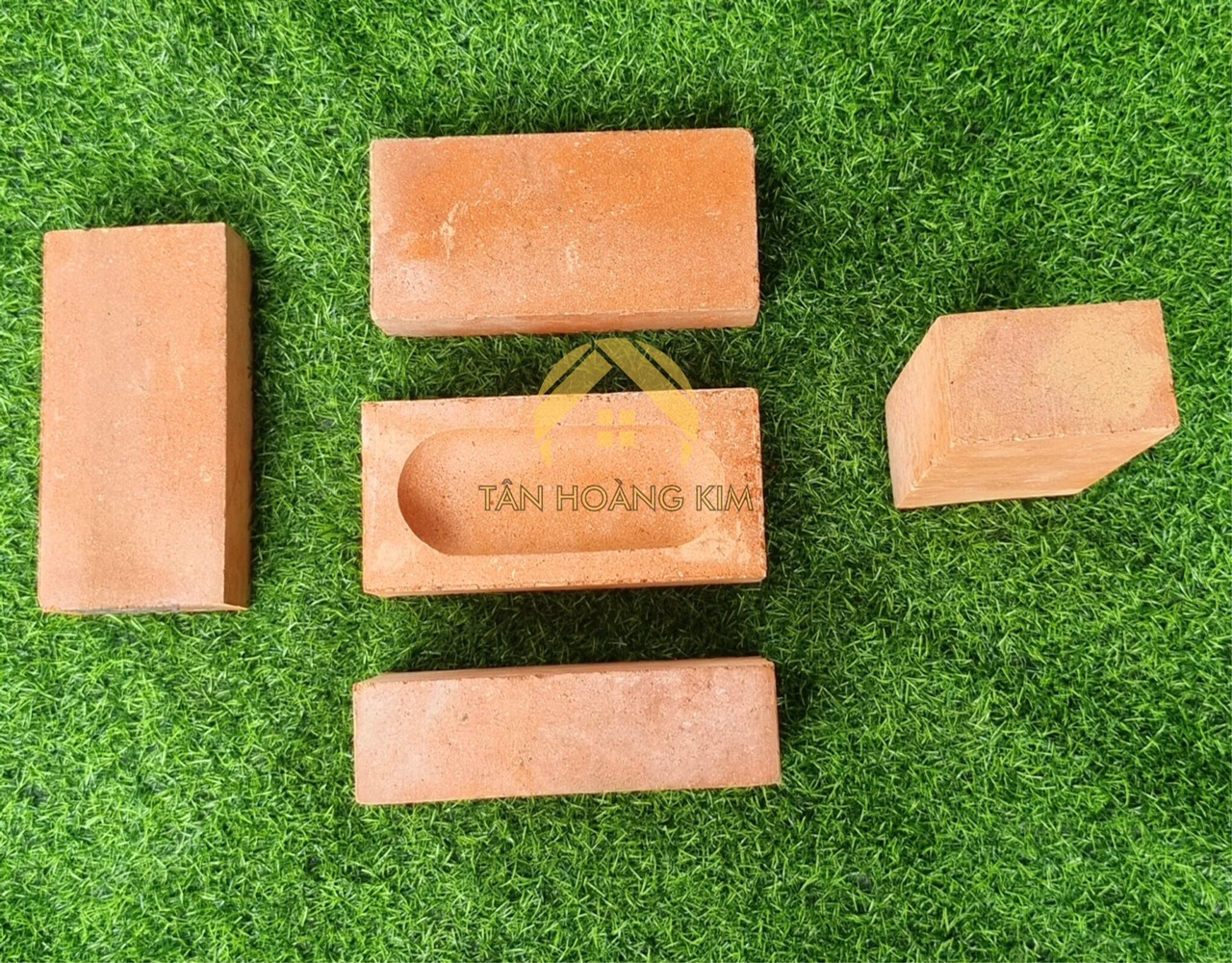 Gạch không trát 20x10x6 cm