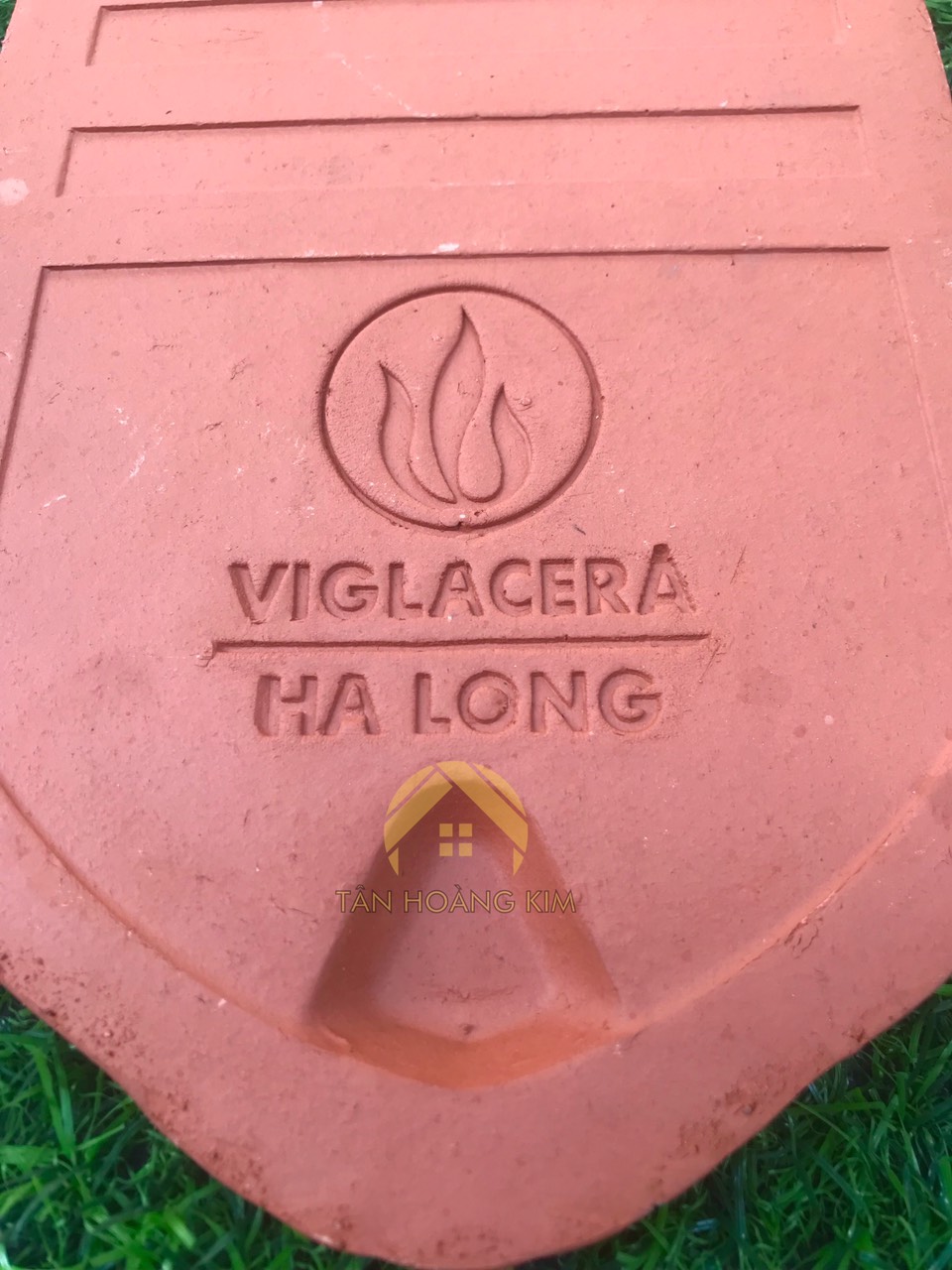 Ngói hài cổ Viglacera Hạ Long Tiêu Giao