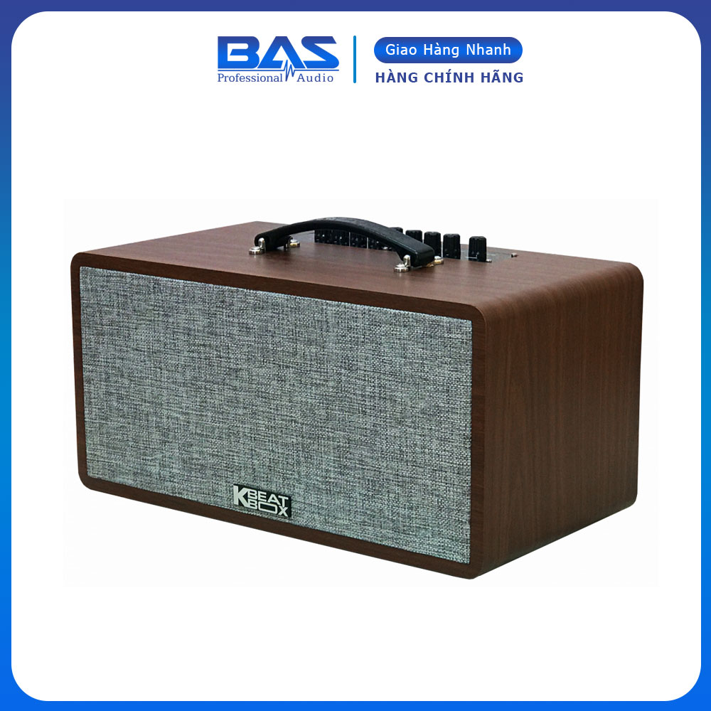 Loa di động Acnos CS390