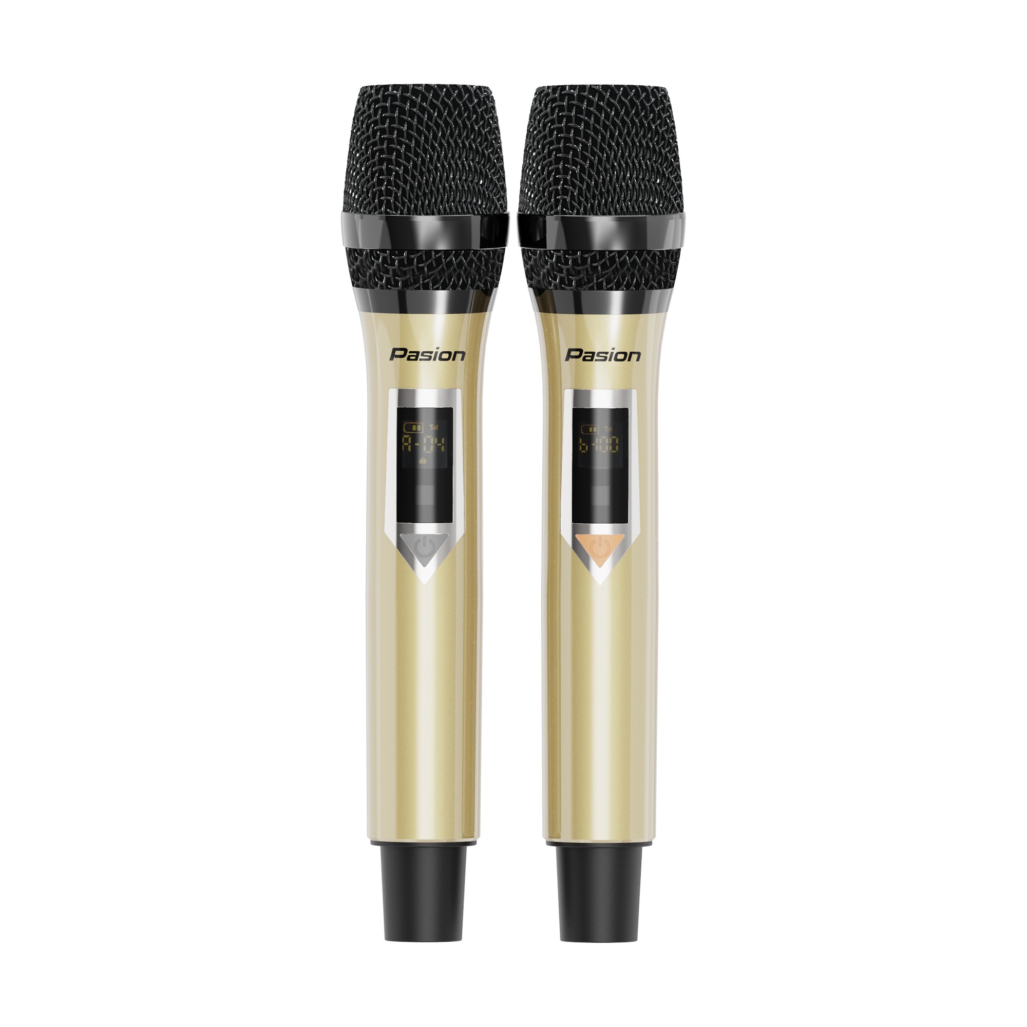 Loa karaoke di động Pasion 2, loa bluetooth xách tay cao cấp hàng chính hãng PARAMAX