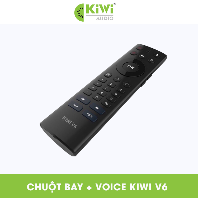 Air Mouse Key Kiwi V6 Voice