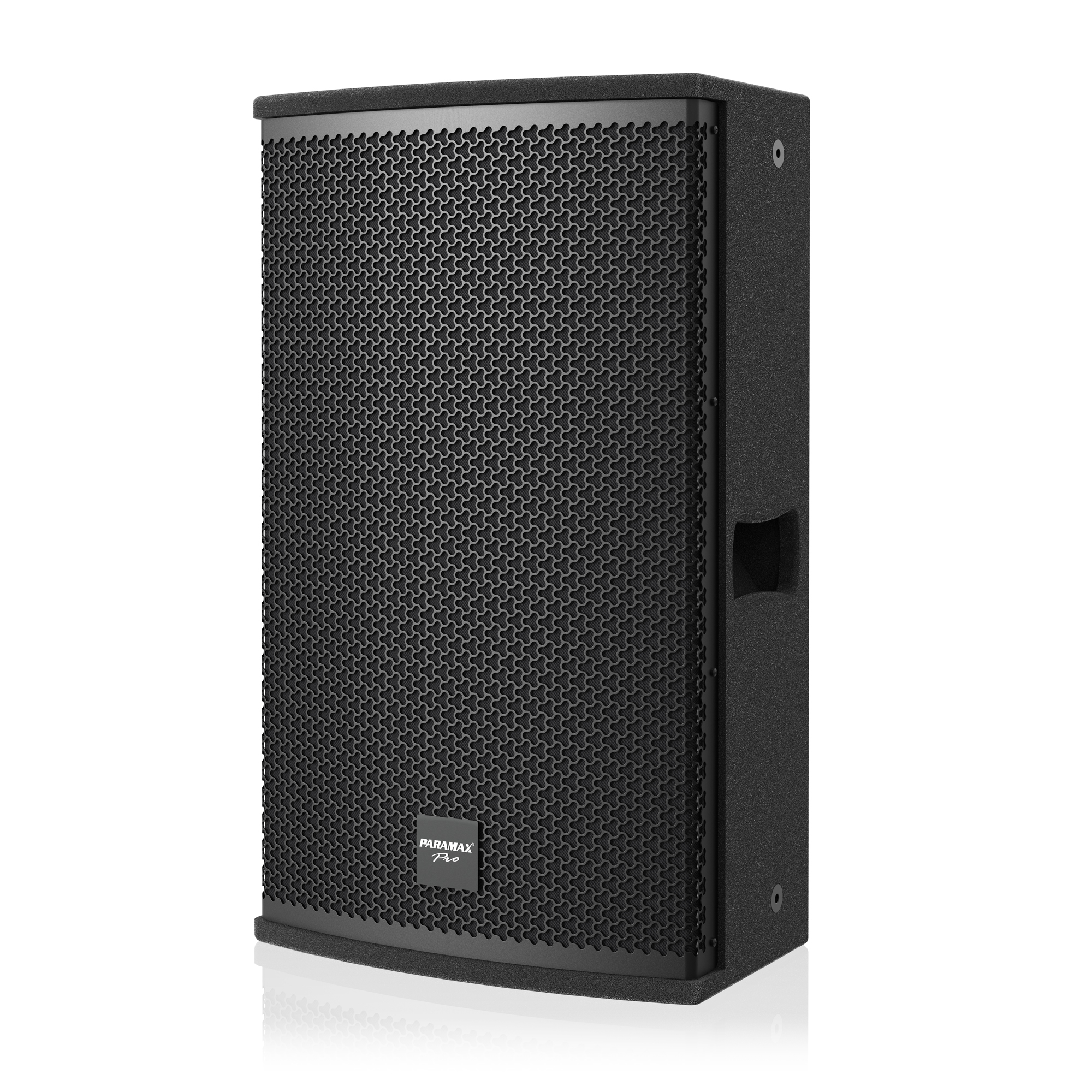 Loa Full Karaoke Paramax Pro-S30