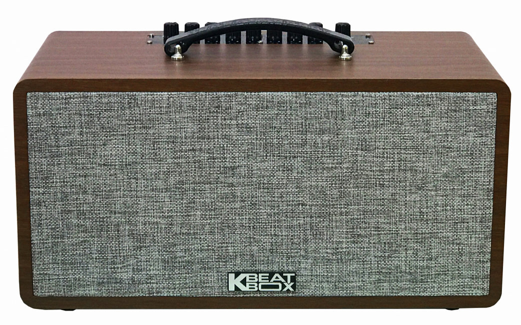 Loa di động Acnos CS390