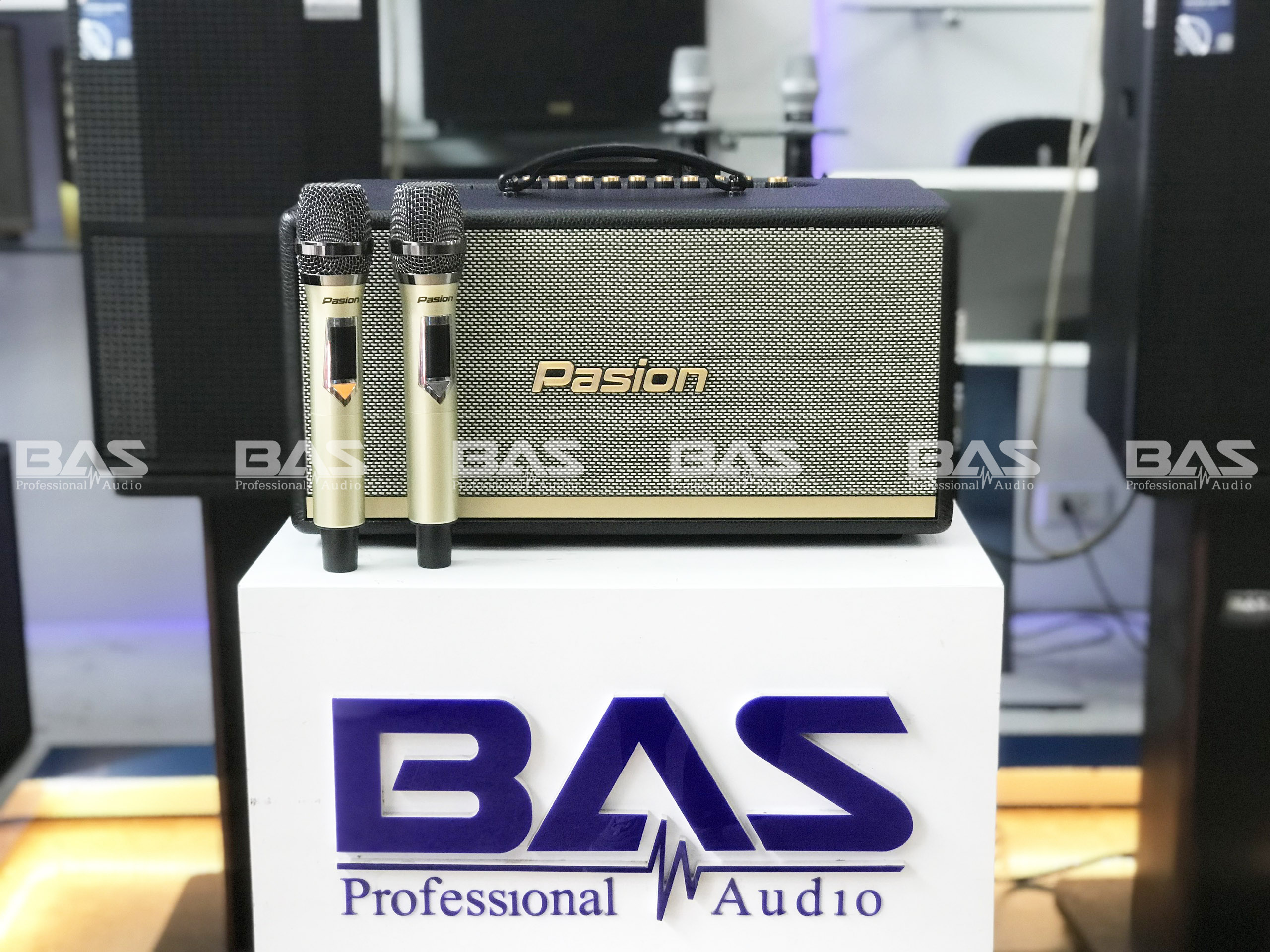 Loa karaoke di động Pasion 2, loa bluetooth xách tay cao cấp hàng chính hãng PARAMAX