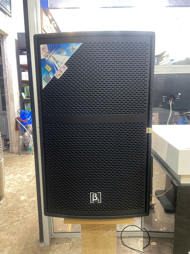 Loa karaoke B2 X12i, bass 30cm, công suất 300W,