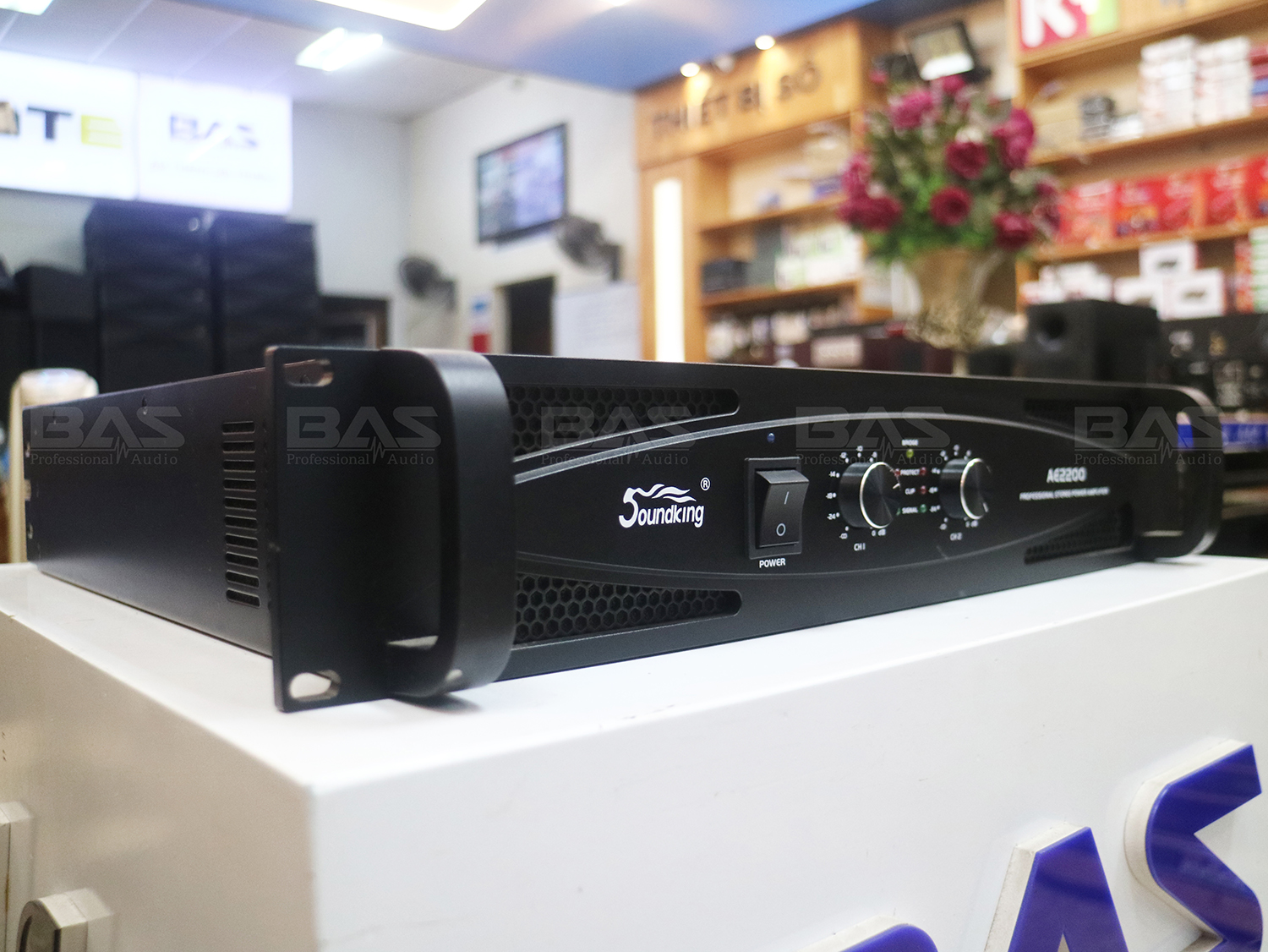 Công suất Soundking AE2200