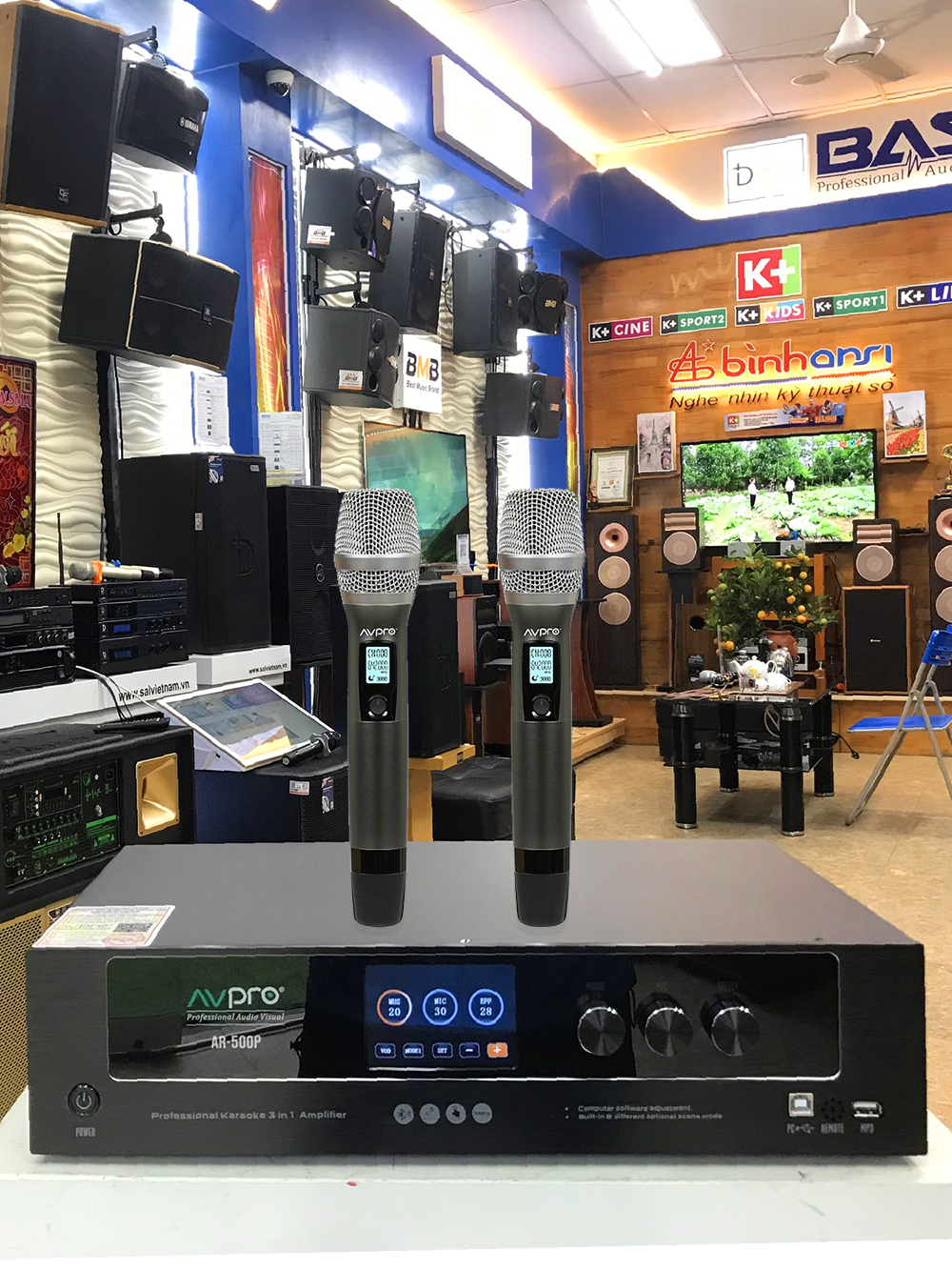 Đẩy liền vang số liền mic không dây AVPRO AR-500P