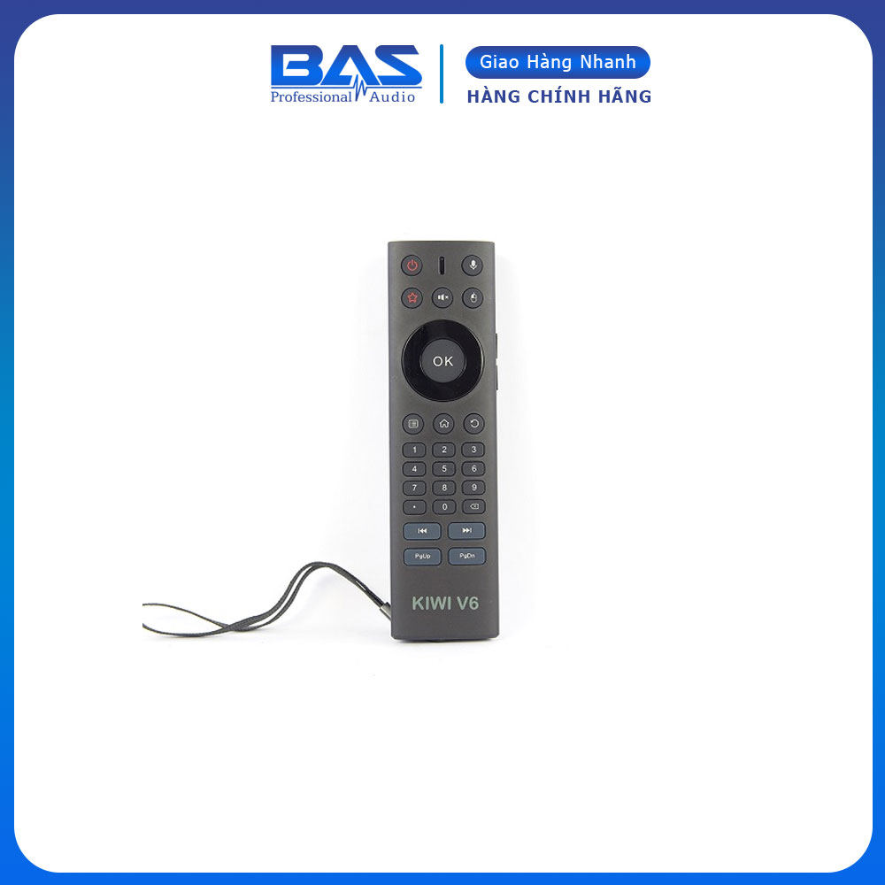 Air Mouse Key Kiwi V6 Voice