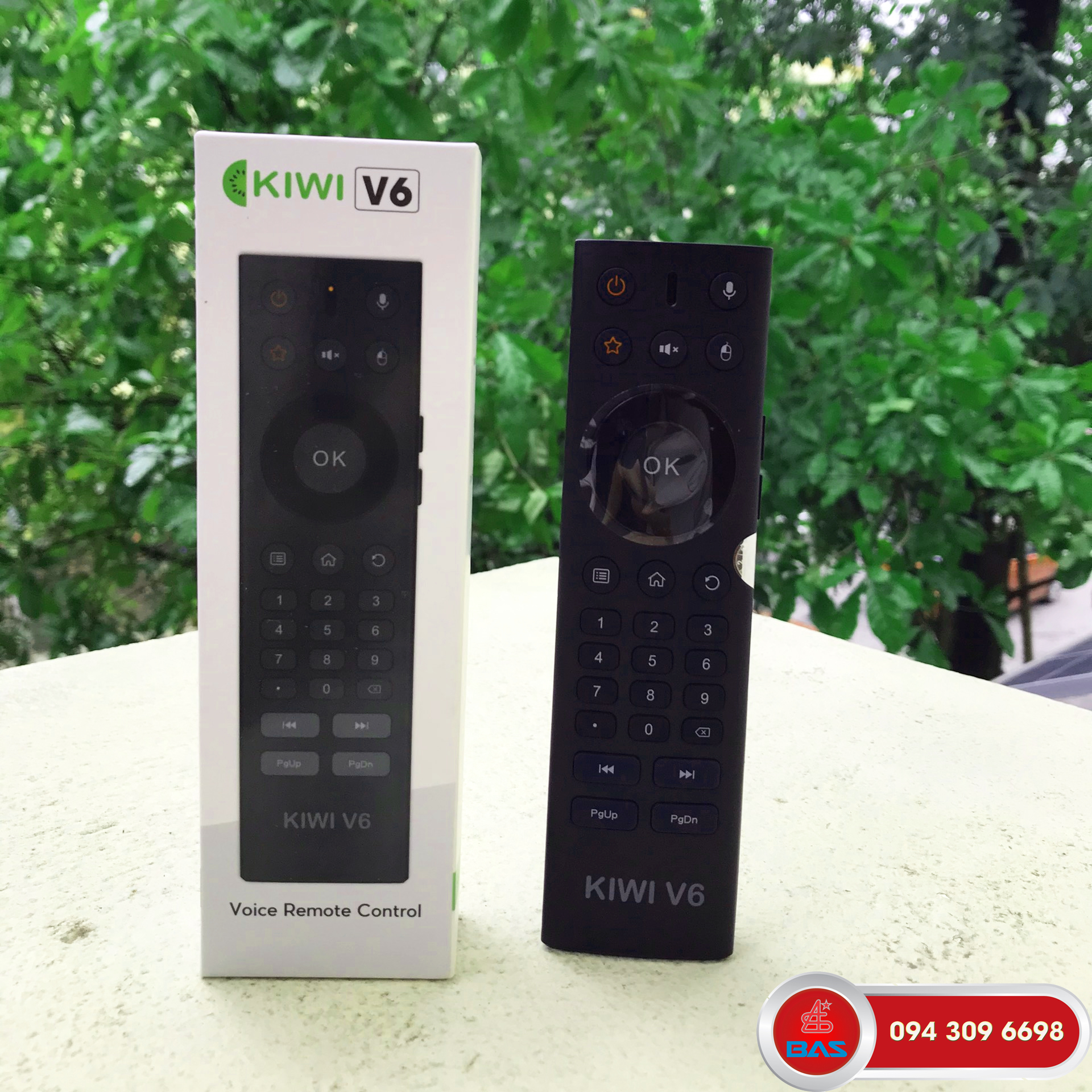 Air Mouse Key Kiwi V6 Voice