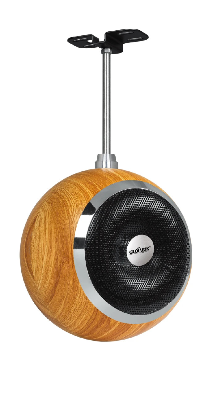 Loa Full Glorik Coaxial Speaker VT8