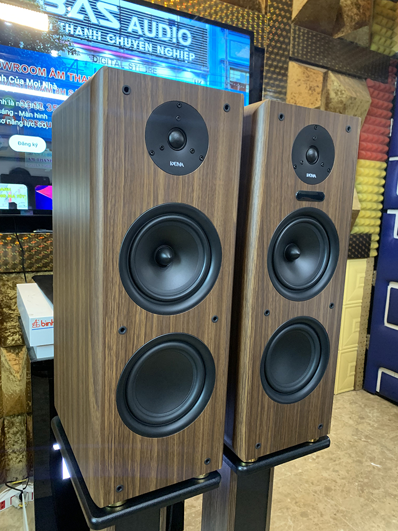 Dàn loa Kadma BS56 (3 Đường tiếng, công suất 300W, Bluetooth, Optical, HDMI, kèm 2 mic, điều khiển)