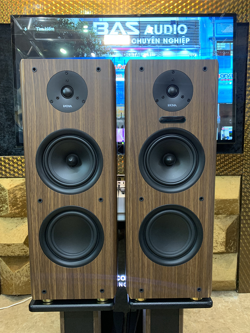 Dàn loa Kadma BS56 (3 Đường tiếng, công suất 300W, Bluetooth, Optical, HDMI, kèm 2 mic, điều khiển)
