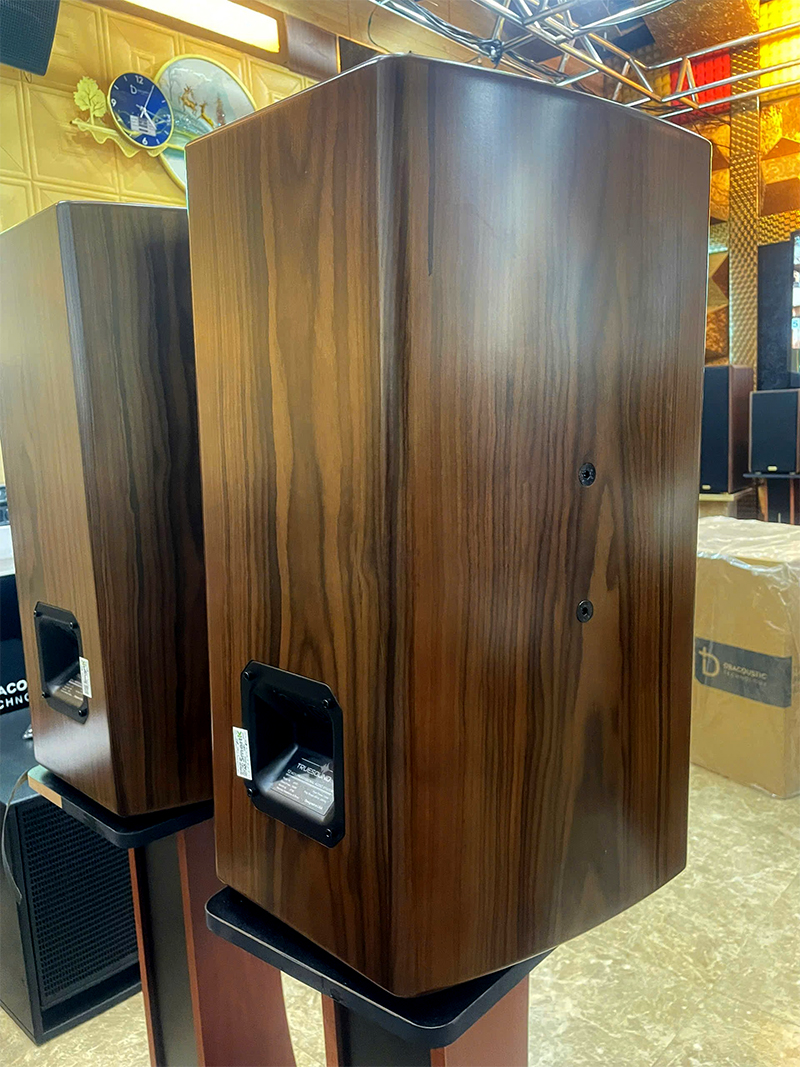 Loa karaoke vân gỗ Truesound LA12, bass 12'', công suất 350W