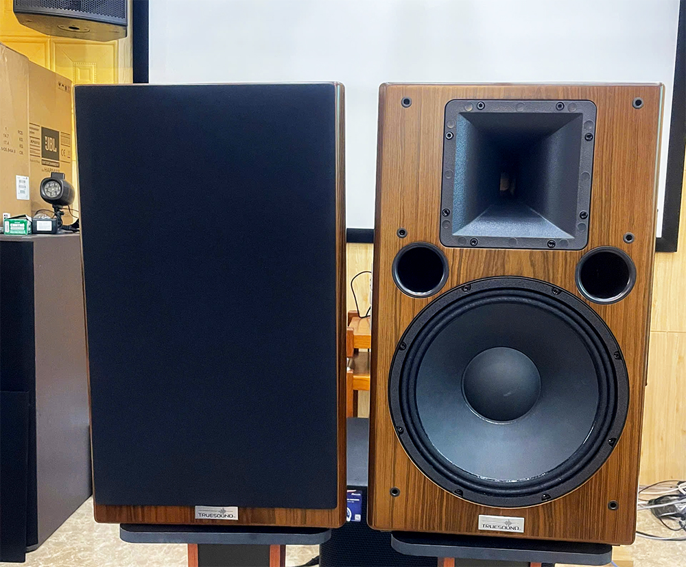 Loa karaoke vân gỗ Truesound LA12, bass 12'', công suất 350W