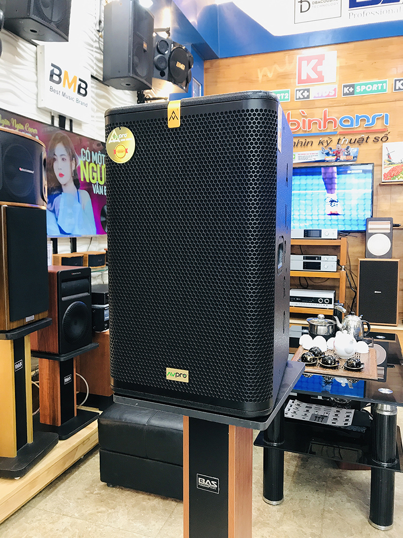 Loa full bass 30cm AVPro SM-112