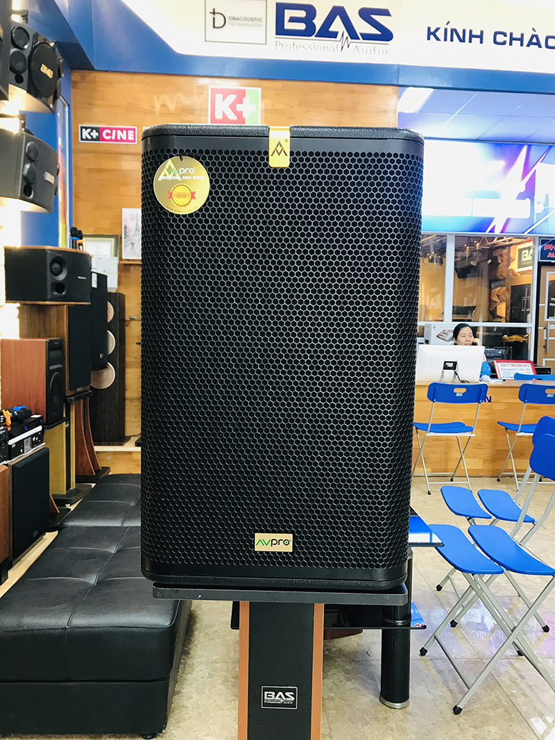 Loa full bass 30cm AVPro SM-112