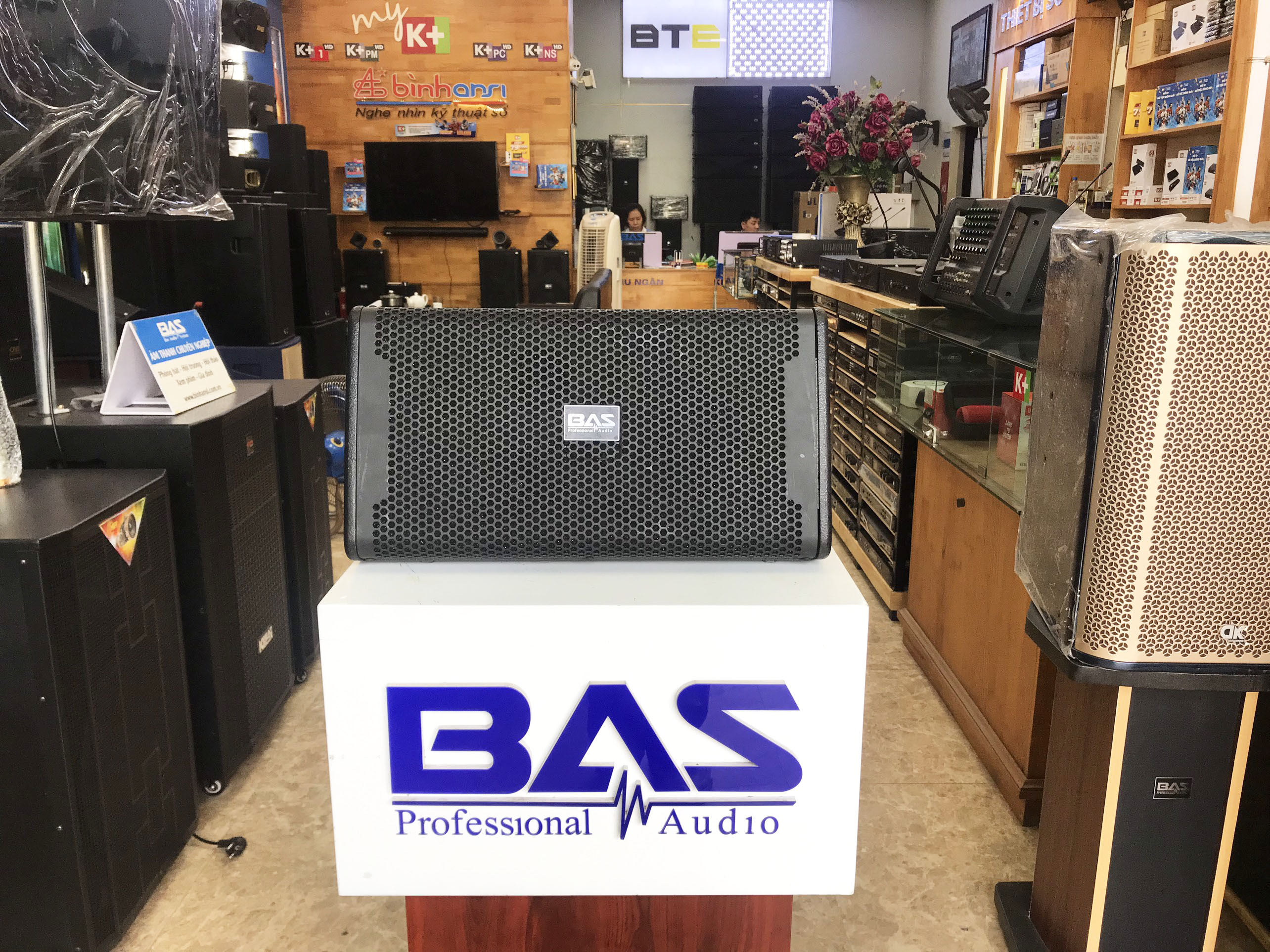 Loa BAS bass 20cm, loa karaoke, nghe nhạc lắp trên xe oto du lịch