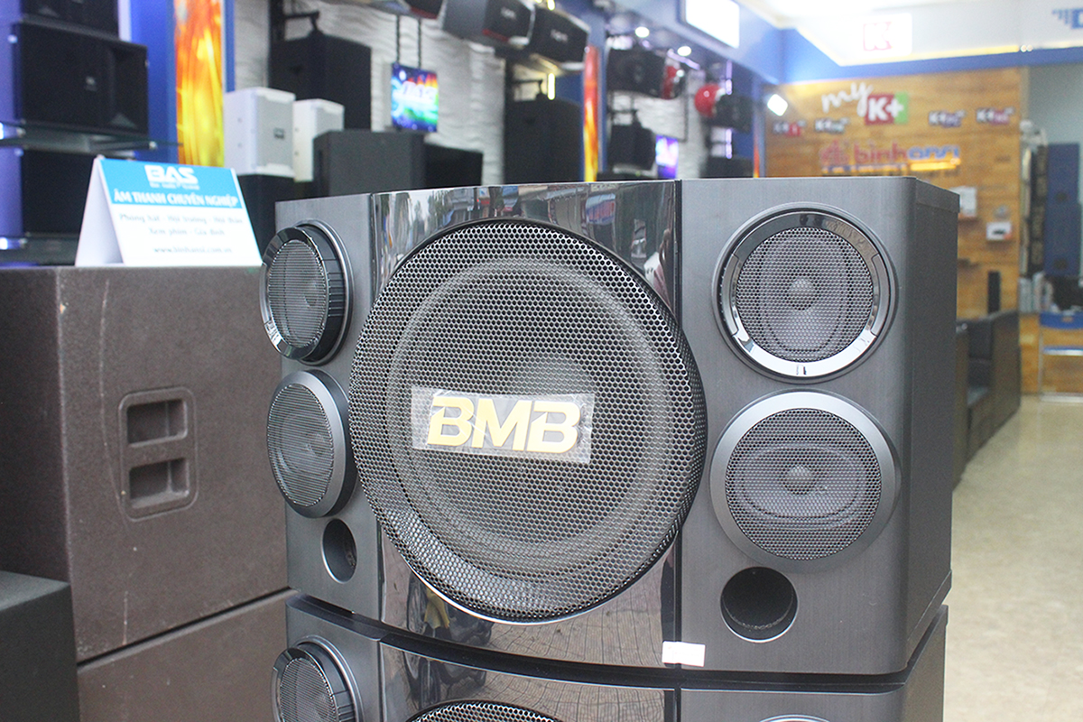 Loa BMB CSE 310SE, loa karaoke bass 25
