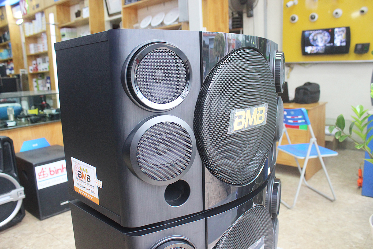 Loa BMB CSE 310SE, loa karaoke bass 25