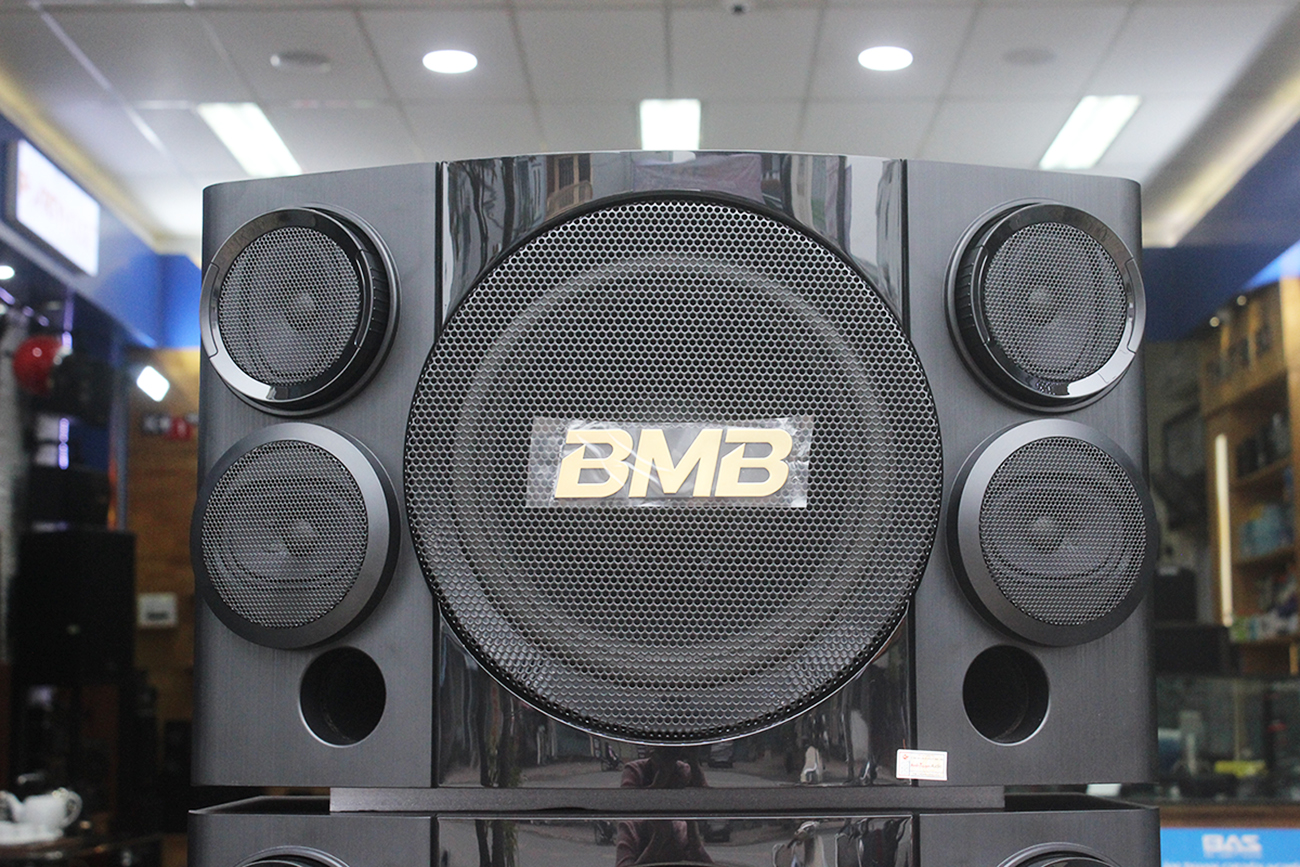 Loa BMB CSE 310SE, loa karaoke bass 25