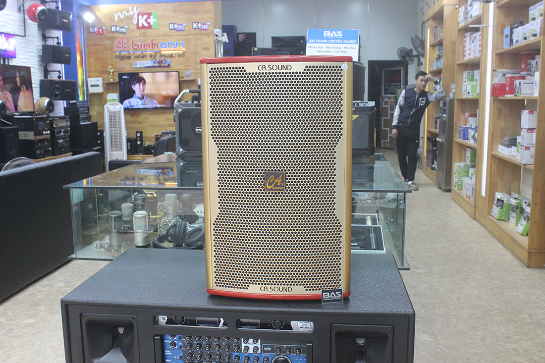 Loa CAsound F812, loa karaoke bass 30