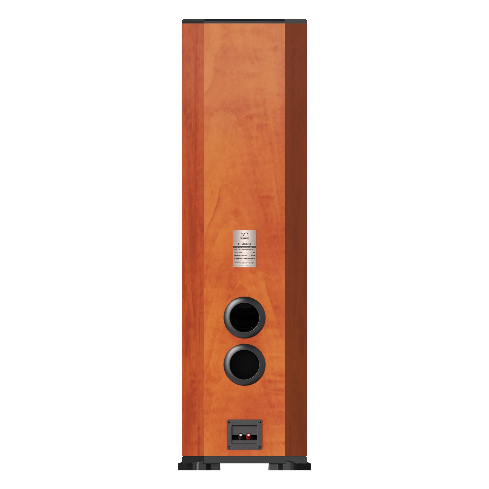 Loa karaoke nghe nhạc Paramax F2500, loa đứng bass đôi 10 inch