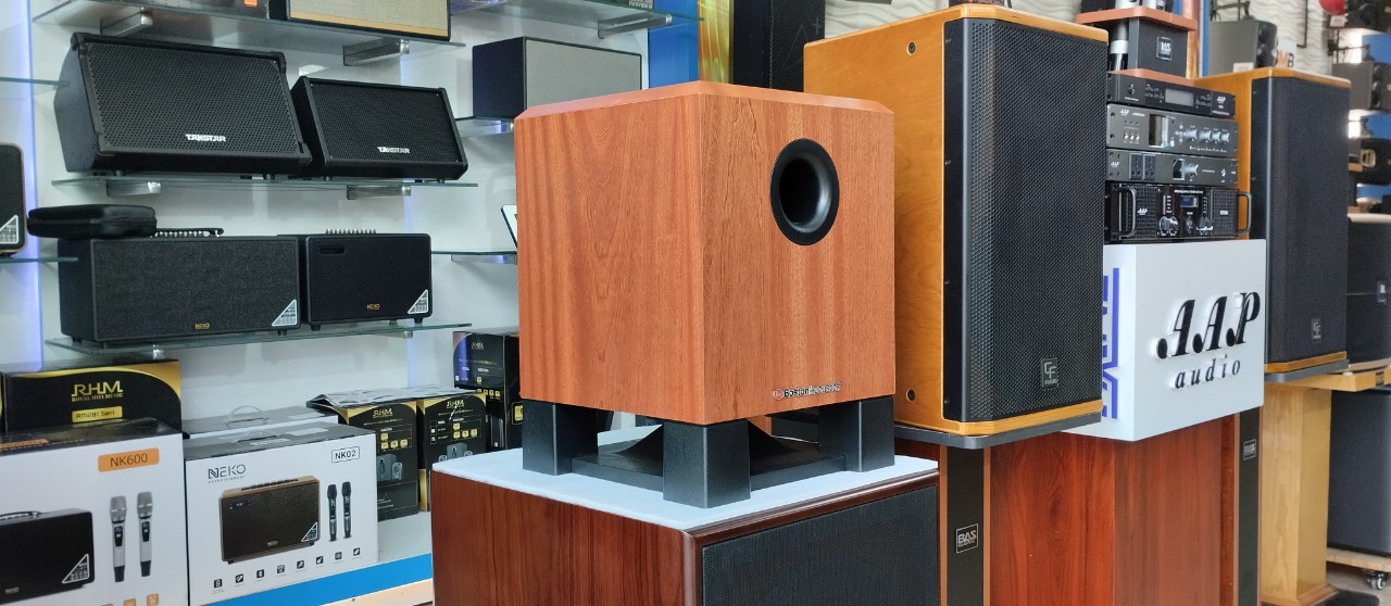 loa sub điện Boston acoutics SW-10320