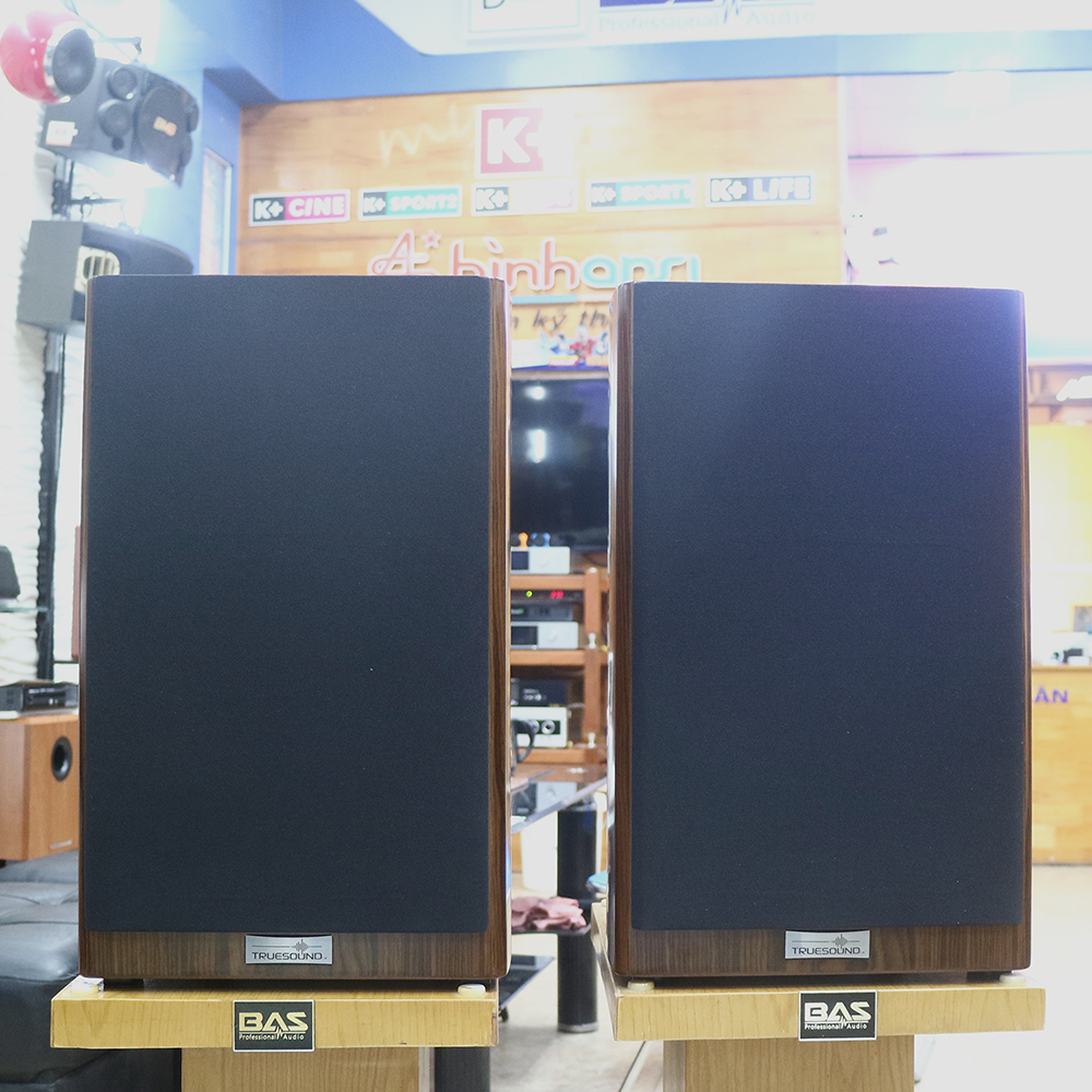 Loa karaoke Truesound LA10