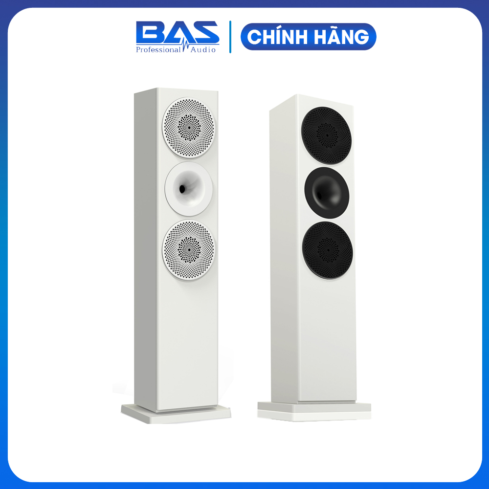 Loa TTR H265, loa đứng karaoke, loa nghe nhạc, loa xem phim cao cấp