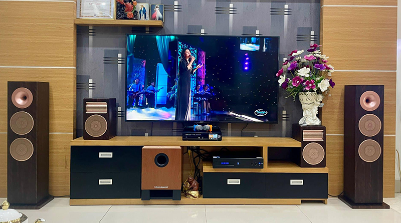 Loa đứng Dbacoustic LX SH28, loa cột Hi-Fi nghe nhạc, karaoke