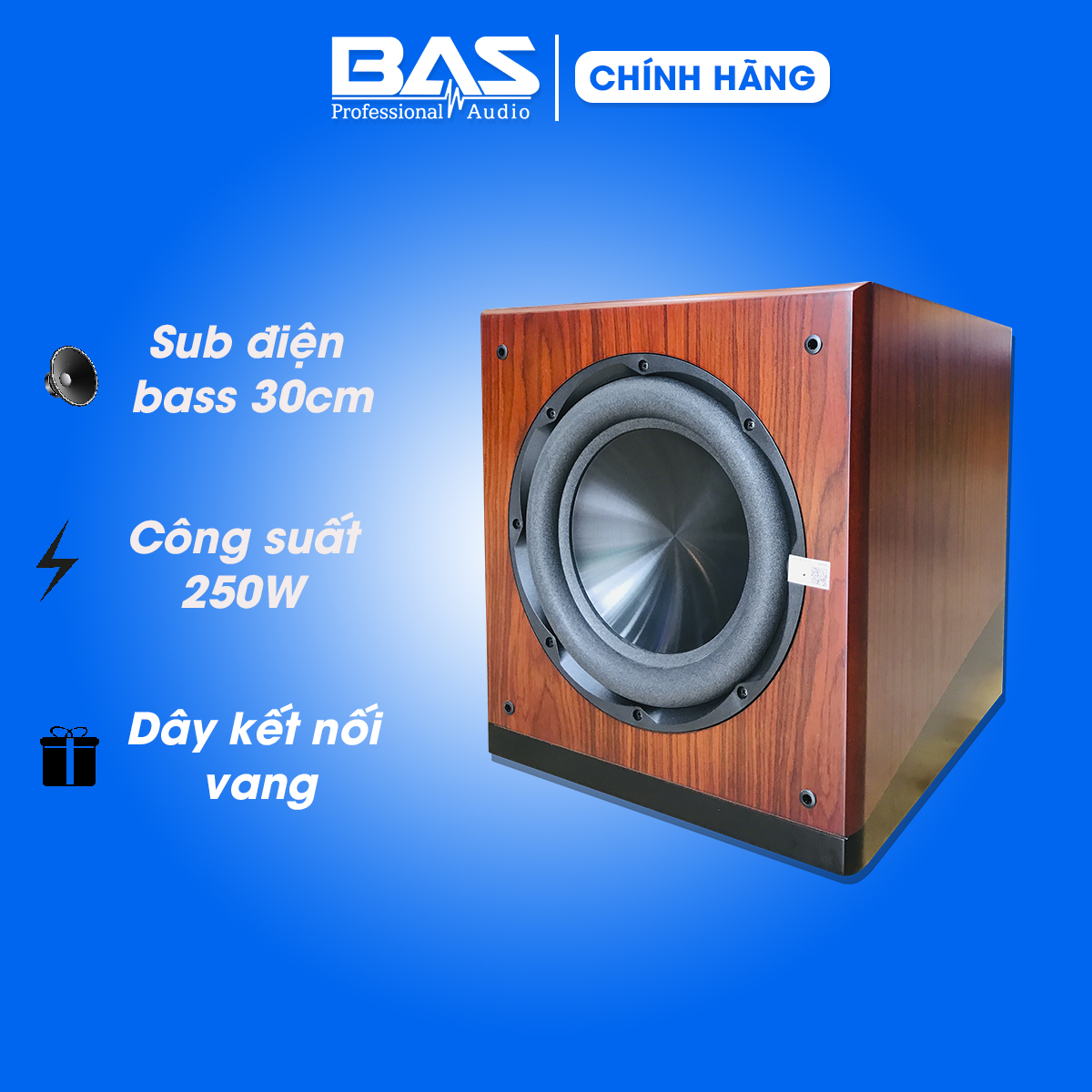 Sub điện bass 30cm AVPRO GD12PRO