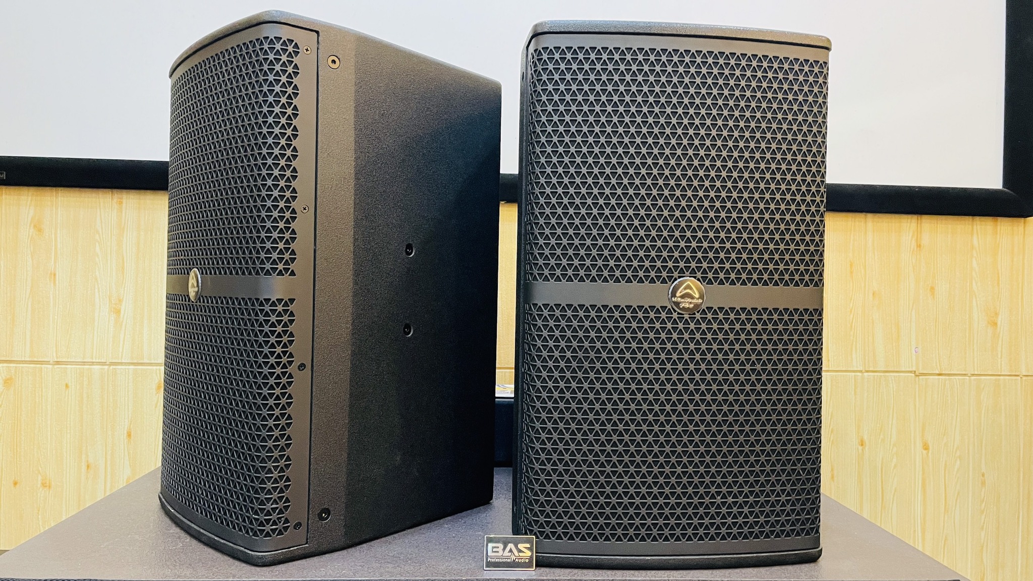 Loa Wharfedale WH-12 NEO