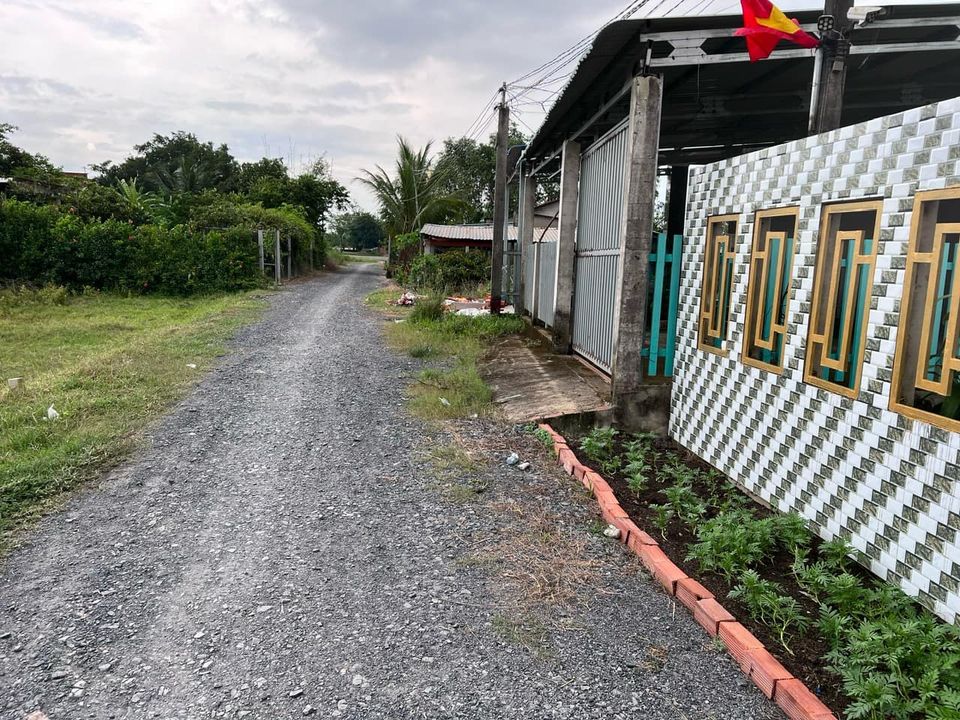 Bán Đất Hựu Thạnh ở Huyện Đức Hòa: Cơ Hội Đầu Tư Bất Động Sản Cuối Năm Khi Thị Trường Bắt Đầu Ấm Lại