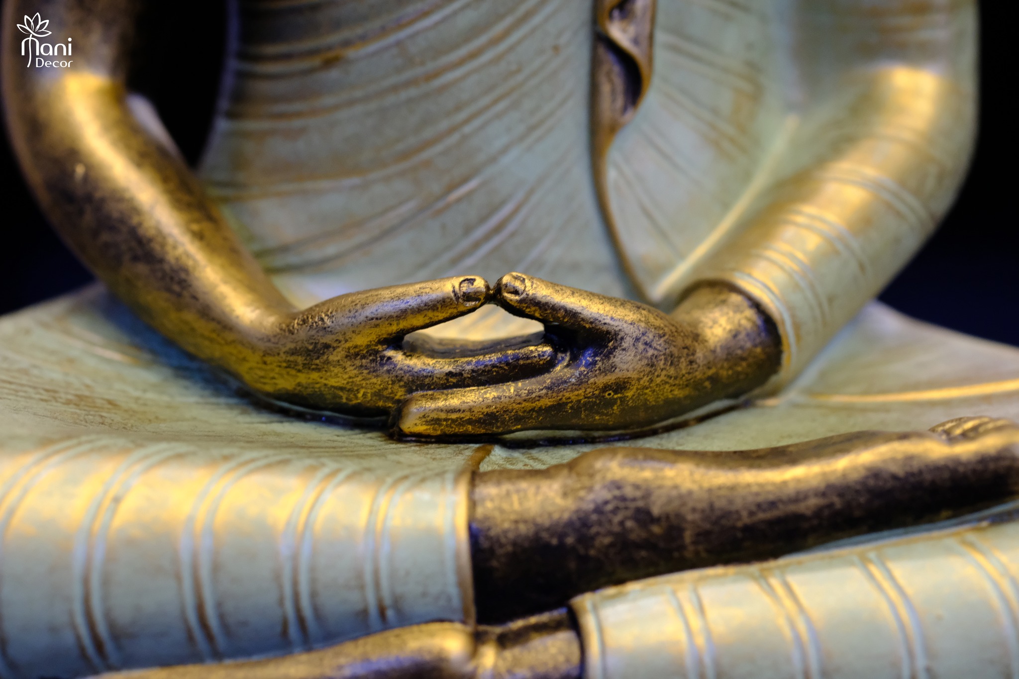 Thiền Thủ Ấn: Khám Phá Sức Mạnh Của Cử Chỉ Trong Thiền Định